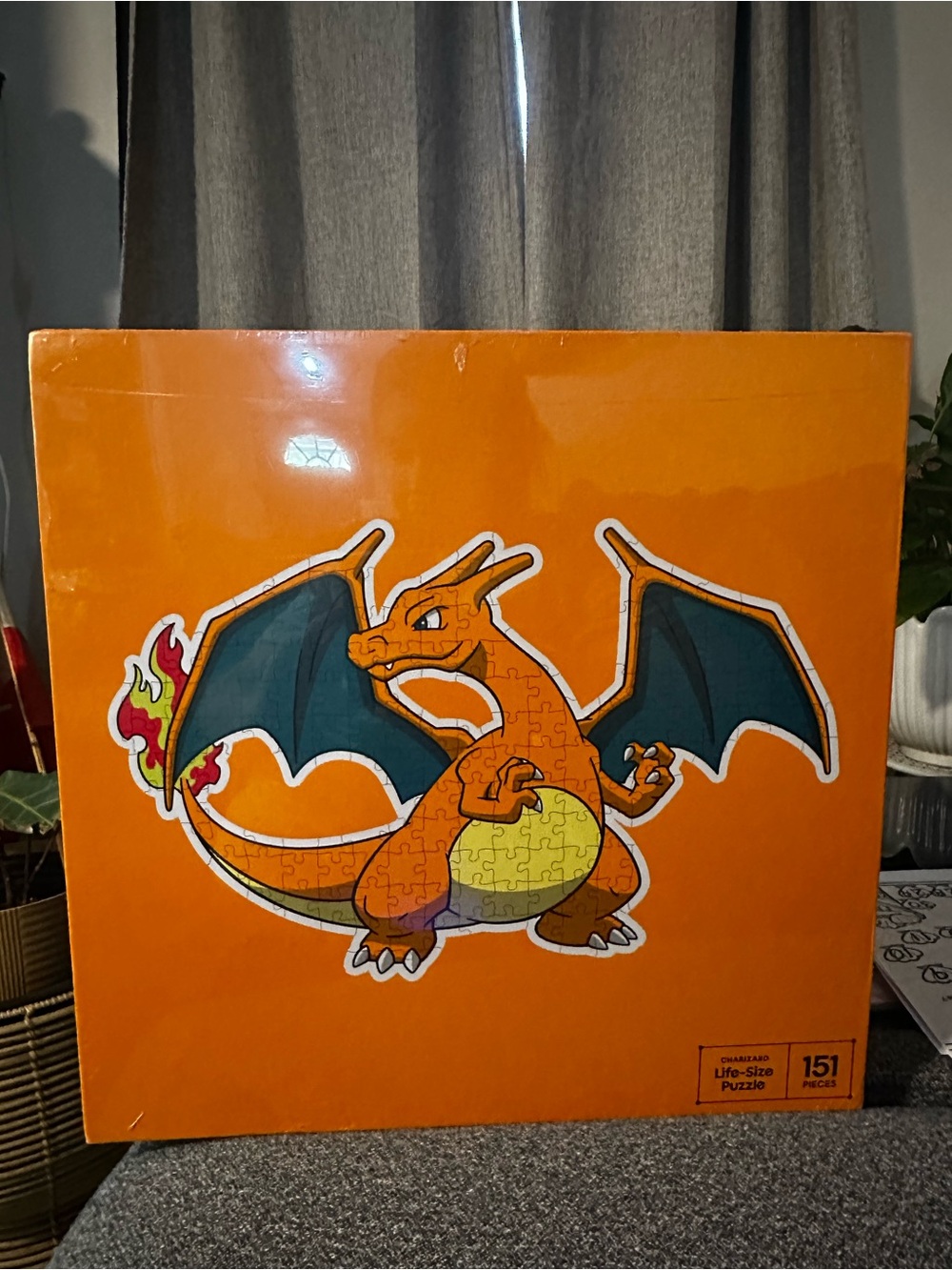 Pokémon Charizard Life Size Puzzle